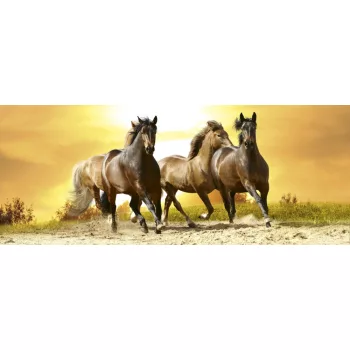   HORSES IN SUNSET fotótapéta, poszter, vlies alapanyag, 375x150 cm