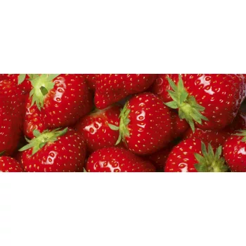   STRAWBERRY fotótapéta, poszter, vlies alapanyag, 375x150 cm