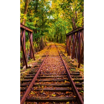 RAILROAD fotótapéta, poszter, vlies alapanyag, 150x250 cm