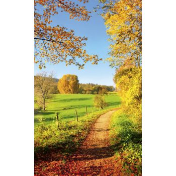 MEADOW fotótapéta, poszter, vlies alapanyag, 150x250 cm