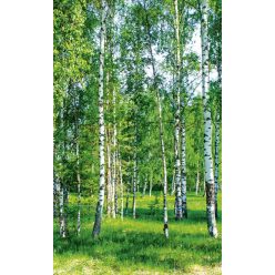   BIRCH GROW fotótapéta, poszter, vlies alapanyag, 150x250 cm