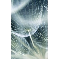   DANDELION MACRO fotótapéta, poszter, vlies alapanyag, 150x250 cm