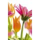 SPRING FLOWERS fotótapéta, poszter, vlies alapanyag, 150x250 cm