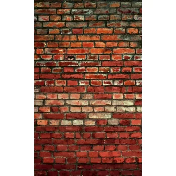   BRICK WALL fotótapéta, poszter, vlies alapanyag, 150x250 cm