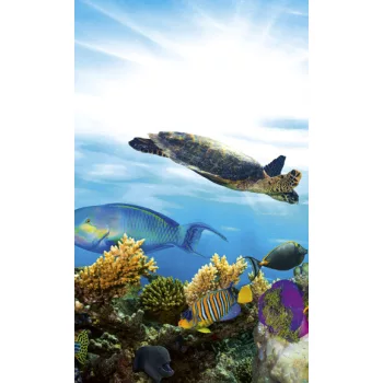 FISH fotótapéta, poszter, vlies alapanyag, 150x250 cm