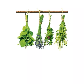 HERBS fotótapéta, poszter, vlies alapanyag, 150x250 cm