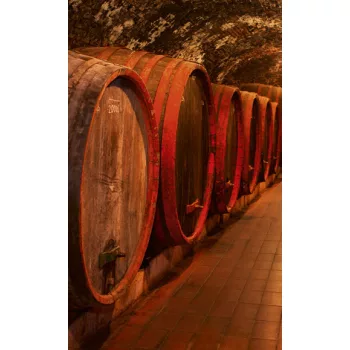   WINE BARRELS fotótapéta, poszter, vlies alapanyag, 150x250 cm