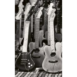   GUITARS COLLECTION fotótapéta, poszter, vlies alapanyag, 150x250 cm