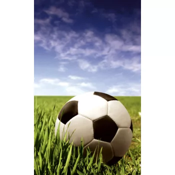   SOCCER BALL fotótapéta, poszter, vlies alapanyag, 150x250 cm
