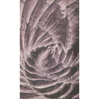   Kaktusz absztrakt fotótapéta, poszter, vlies alapanyag, 150x250 cm