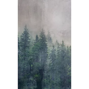   Erdő absztrakt fotótapéta, poszter, vlies alapanyag, 150x250 cm