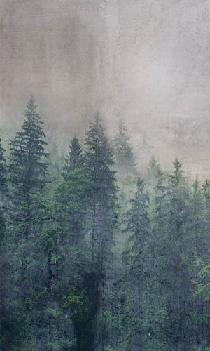 Erdő absztrakt fotótapéta, poszter, vlies alapanyag, 150x250 cm