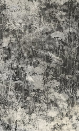 Természet szürke fotótapéta, poszter, vlies alapanyag, 150x250 cm