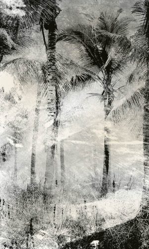 Pálmafák fotótapéta, poszter, vlies alapanyag, 150x250 cm