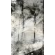 Pálmafák fotótapéta, poszter, vlies alapanyag, 150x250 cm