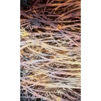 Széna fotótapéta, poszter, vlies alapanyag, 150x250 cm