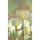 Fehér Tulipánok fotótapéta, poszter, vlies alapanyag, 150x250 cm