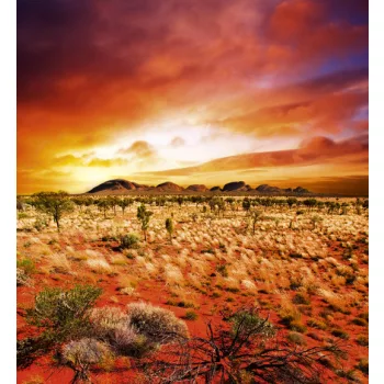   AUSTRALIAN LANDSCAPE fotótapéta, poszter, vlies alapanyag, 225x250 cm
