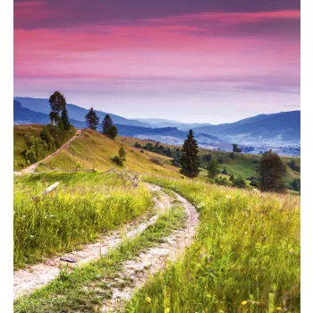   BLOOMING HILLS fotótapéta, poszter, vlies alapanyag, 225x250 cm