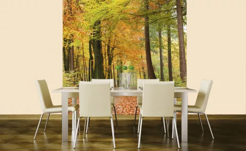 AUTUMN FOREST fotótapéta, poszter, vlies alapanyag, 225x250 cm