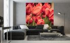 RED TULIPS fotótapéta, poszter, vlies alapanyag, 225x250 cm