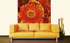 GERBERA fotótapéta, poszter, vlies alapanyag, 225x250 cm