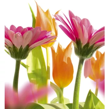   SPRING FLOWERS fotótapéta, poszter, vlies alapanyag, 225x250 cm