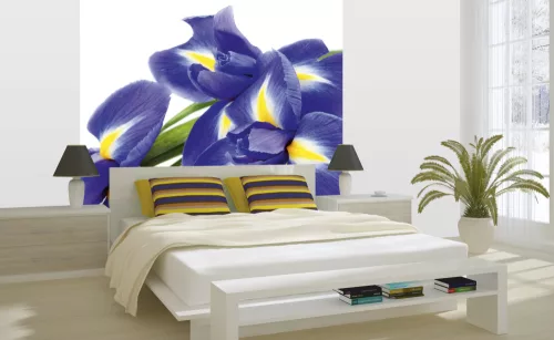 IRIS fotótapéta, poszter, vlies alapanyag, 225x250 cm