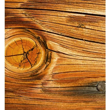 WOOD KNOT fotótapéta, poszter, vlies alapanyag, 225x250 cm