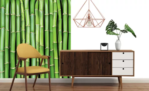 BAMBOO fotótapéta, poszter, vlies alapanyag, 225x250 cm