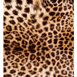   LEOPARD SKIN fotótapéta, poszter, vlies alapanyag, 225x250 cm