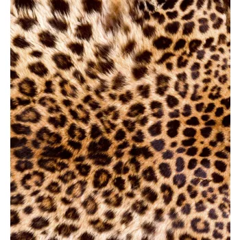  LEOPARD SKIN fotótapéta, poszter, vlies alapanyag, 225x250 cm