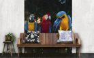 COLOURFUL MACAW fotótapéta, poszter, vlies alapanyag, 225x250 cm