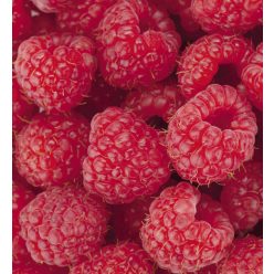 RASPBERRY fotótapéta, poszter, vlies alapanyag, 225x250 cm