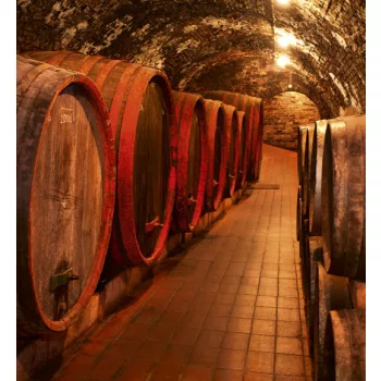   WINE BARRELS fotótapéta, poszter, vlies alapanyag, 225x250 cm