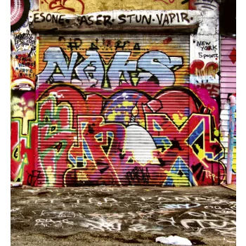   GRAFFITI STREET fotótapéta, poszter, vlies alapanyag, 225x250 cm