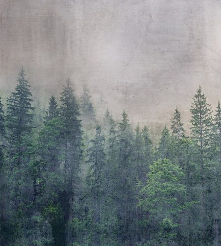 Erdő fotótapéta, poszter, vlies alapanyag, 225x250 cm
