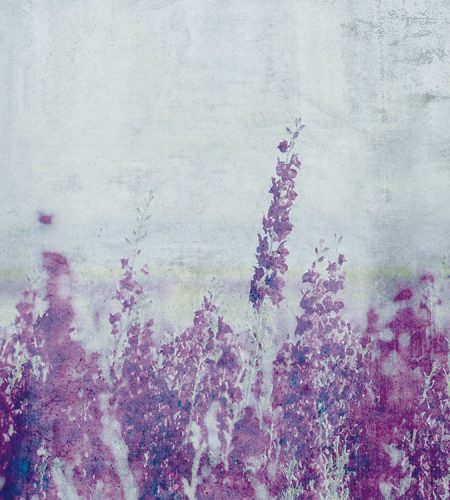 Levendula fotótapéta, poszter, vlies alapanyag, 225x250 cm