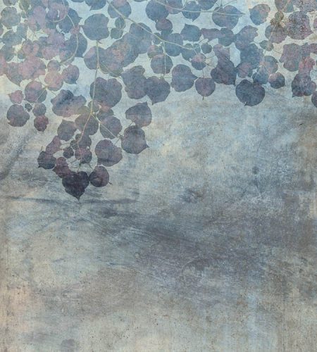 Kék levelek fotótapéta, poszter, vlies alapanyag, 225x250 cm