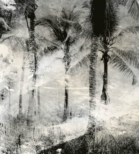 Pálmafák fotótapéta, poszter, vlies alapanyag, 225x250 cm