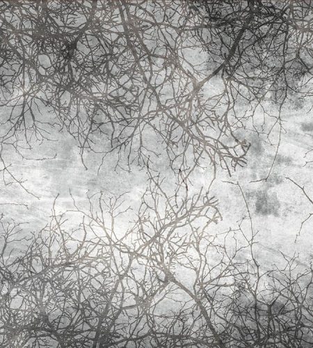 Ág fotótapéta, poszter, vlies alapanyag, 225x250 cm