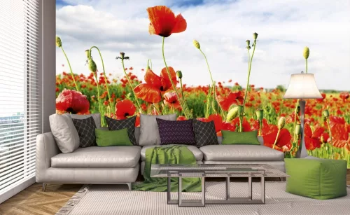 RED POPPIES fotótapéta, poszter, vlies alapanyag, 375x250 cm