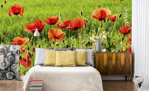 POPPY FIELD fotótapéta, poszter, vlies alapanyag, 375x250 cm