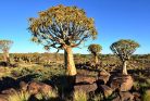 NAMIBIA fotótapéta, poszter, vlies alapanyag, 375x250 cm