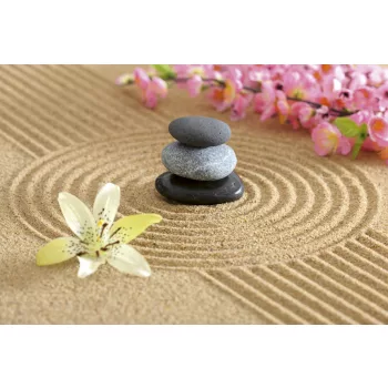   ZEN GARDEN fotótapéta, poszter, vlies alapanyag, 375x250 cm