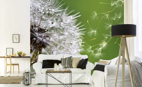 BLOWING DANDELION fotótapéta, poszter, vlies alapanyag, 375x250 cm