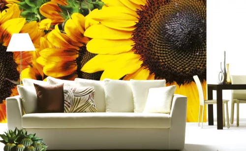 SUNFLOWERS fotótapéta, poszter, vlies alapanyag, 375x250 cm