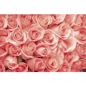 ROSES fotótapéta, poszter, vlies alapanyag, 375x250 cm