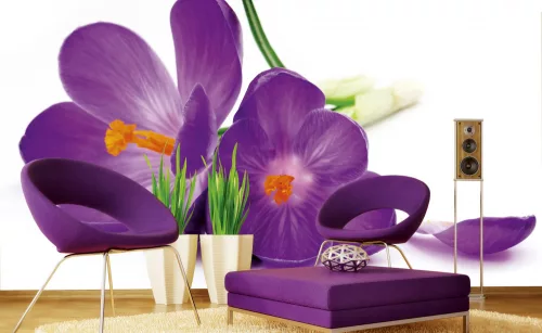 CROCUS fotótapéta, poszter, vlies alapanyag, 375x250 cm