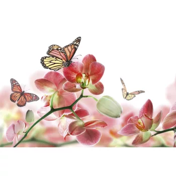   ORCHIDS AND BUTTERFLY fotótapéta, poszter, vlies alapanyag, 375x250 cm